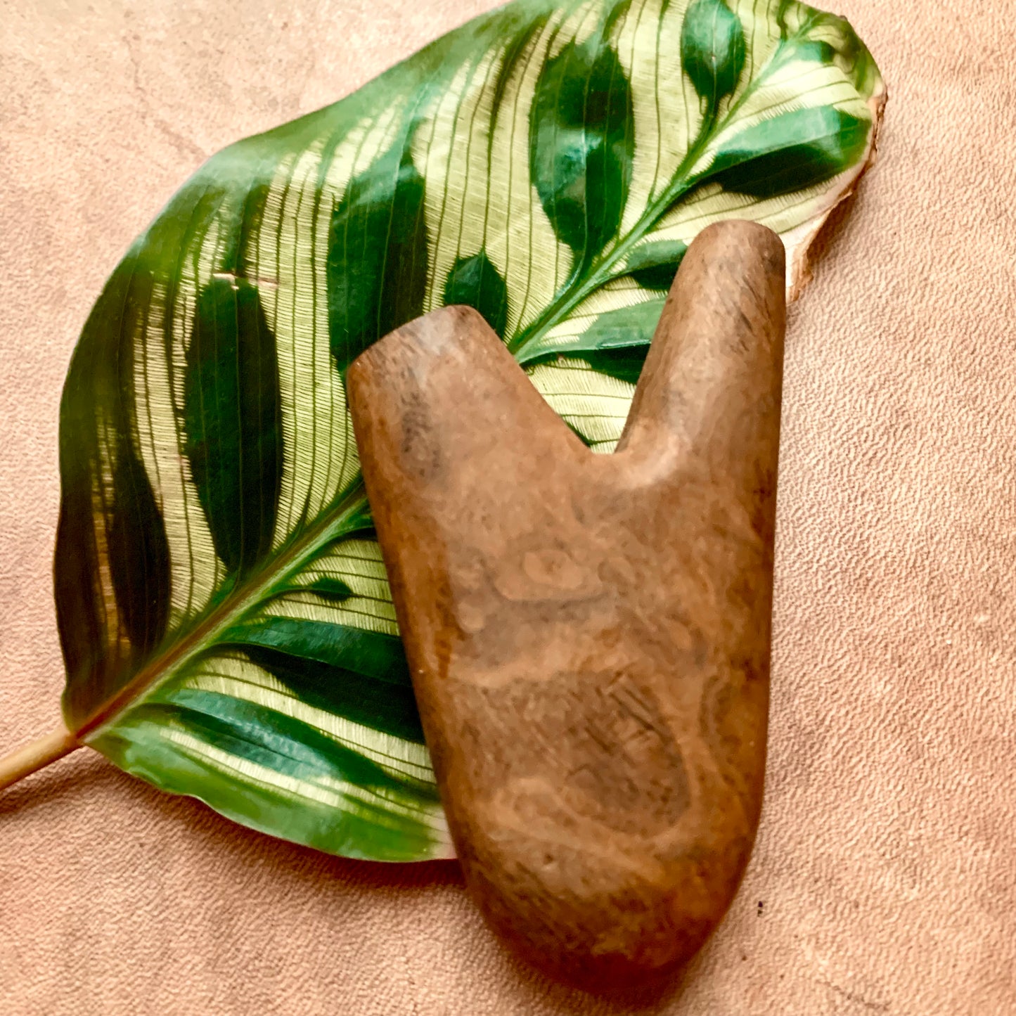 Kuripe Imbuya