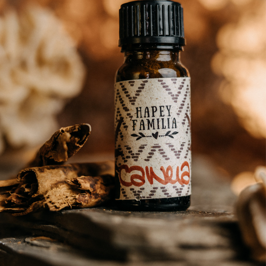 Canela de Velho Rapé